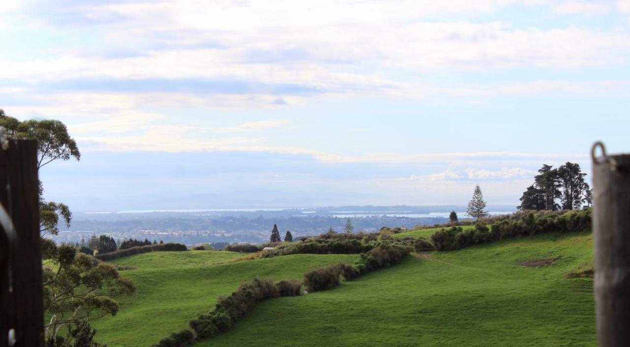 Arohanui Rural Retreat B&B ตาอูรังกา ภายนอก รูปภาพ
