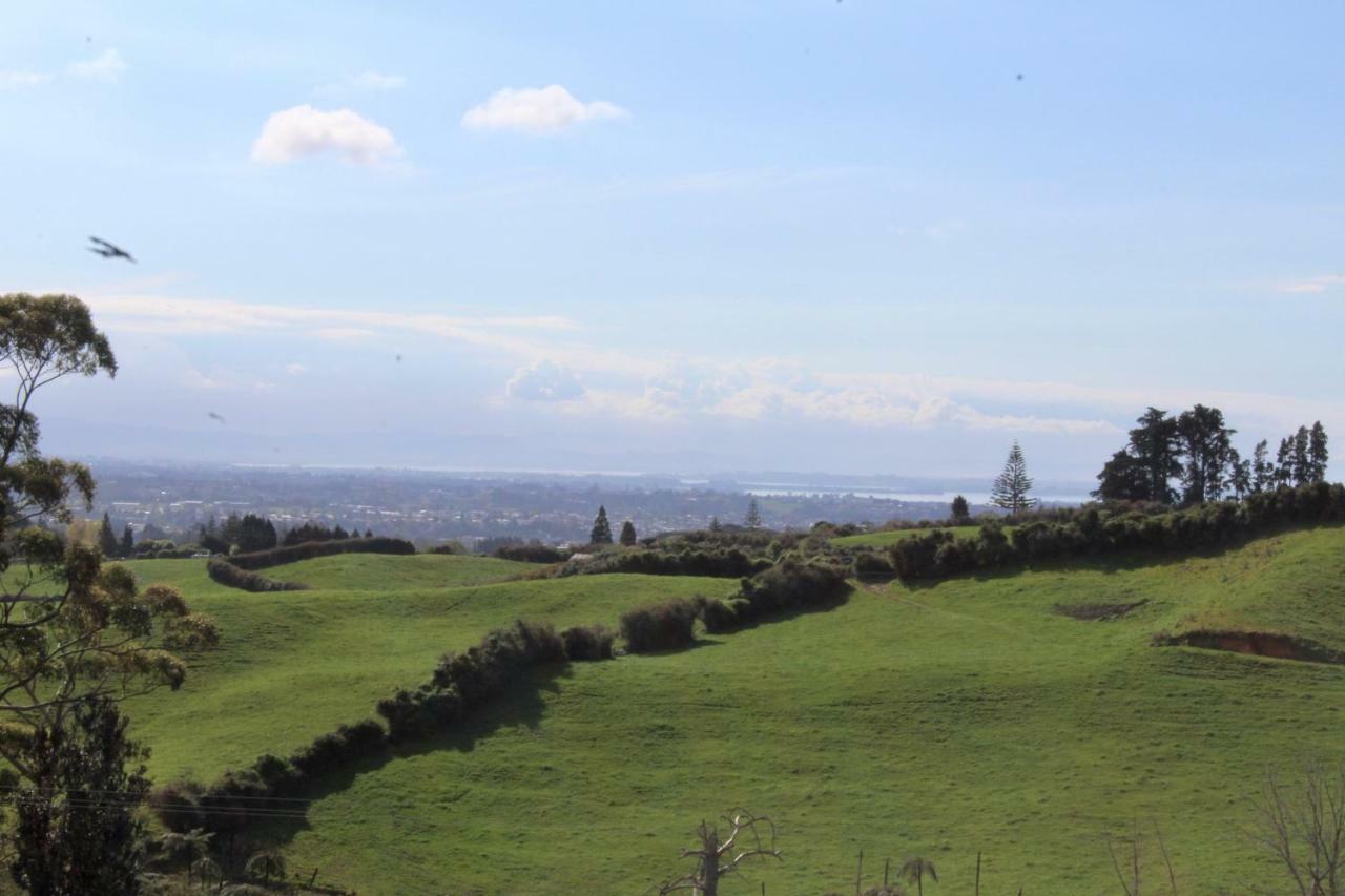 Arohanui Rural Retreat B&B ตาอูรังกา ภายนอก รูปภาพ